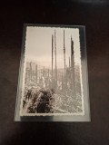 Carte postala alb negru , Regiunea Lacul Rosu - Foto Ambrus Gheorgheni