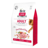 Cumpara ieftin Brit Care Cat GF Adult Activity Support, 400 g