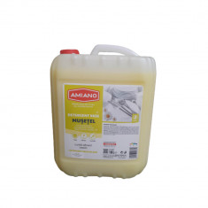 Detergent de Vase Amiano Musetel 10L, Detergent Vase, Detergent Vase Concentrat, Detergent Concentrat Vase, Detergent Vase Amiano, Detergent Vase Muse