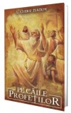 Cumpara ieftin Pe caile profetilor/I. Chiru Nanov