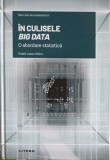 IN CULISELE BIG DATA, O ABORDARE STATISTICA-RAFEL LAHOZ BELTRA-257983