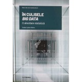 IN CULISELE BIG DATA, O ABORDARE STATISTICA-RAFEL LAHOZ BELTRA-328377