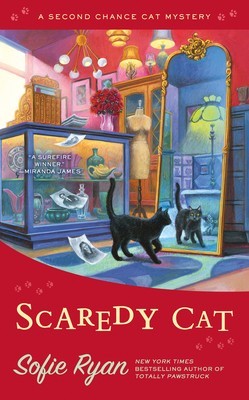 Scaredy Cat foto