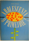 Adolescenta, o primejdie - Mihai Stoian - Roman Beletristica