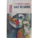 SALT IN MAINE-LAURENTIU CERNET-245349