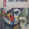 SALT IN MAINE-LAURENTIU CERNET-245349