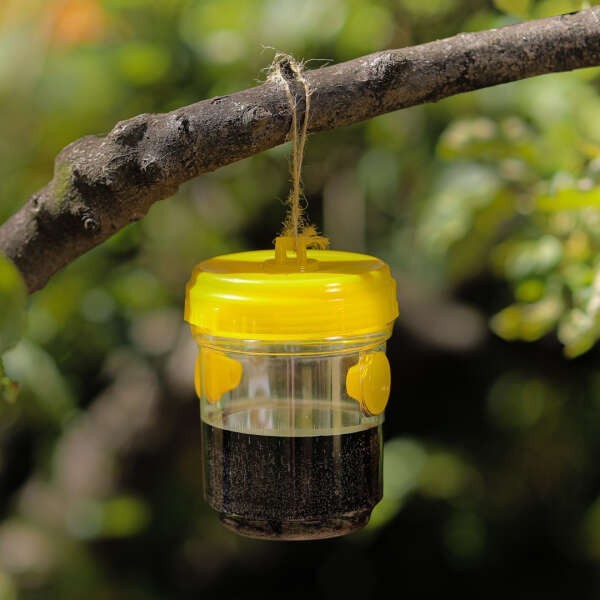 Trappoly l&oacute;g&oacute; rovarcsapda