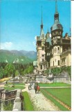 @ carte postala(ilustrata)-PELES-Sinaia