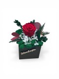 Aranjament cu trandafir criogenat si licheni naturali stabilizati in cutie eleganta , cadou premium personalizat cu flori de lunga durata