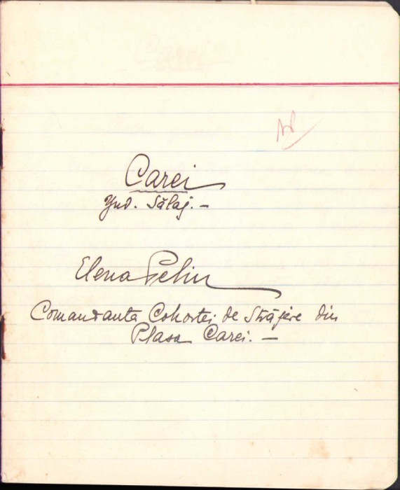 HST 350S Schița monografică Carei 1940 de Elena Pelin Straja Țării