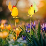 Decor Paste cocos pe bat, decoratiune Paste pentru ghiveci si gradina, figurina cocos 24 cm