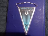 Fanion Minerul Paroseni