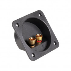 Conector Boxa 2 Terminale Culoare Auriu