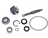 Cumpara ieftin Kit reparatie pompa apa scuter Honda SH 125cc / 150cc