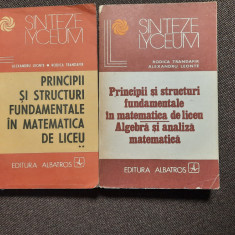 Principii si structuri fundamentale in matematica de liceu.2 VOLUME A.LEONTE