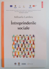 INTREPRINDERILE SOCIALE de MIHAELA LAMBRU , 2013 foto