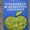 Vitaminele și sănătatea copilului Irina Chiriac 1984