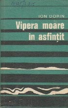 Vipera Moare in Asfintit foto