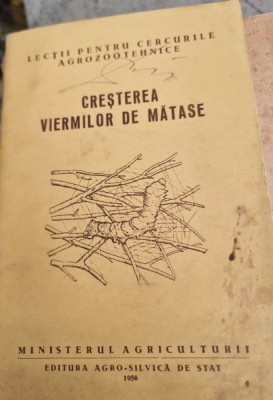 Cresterea viermilor de matase - Xenia Moldoveanu foto
