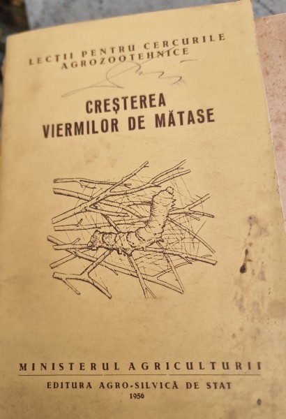 Cresterea viermilor de matase - Xenia Moldoveanu