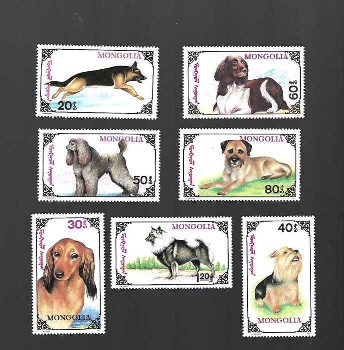 mongolia mnh