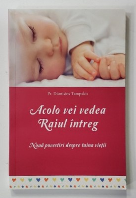 ACOLO VEI VEDEA RAIUL INTREG - NOUA POVESTIRI DESPRE TAINA VIETII de Pr. DIONISIOS TAMPAKIS , 2022 foto