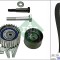 INA 530 0622 10 Set curea de distributie