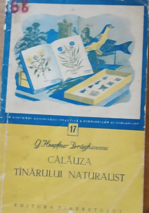 G. HOEPFNER DRAGHICESCU - CALAUZA TANARULUI NATURALIST