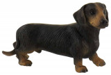 Figurina - Short-Haired - Dachshund Apollo Dog | Bullyland