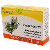 GEMODERIVAT MUGURI PIN 1,5ML*30MDZ