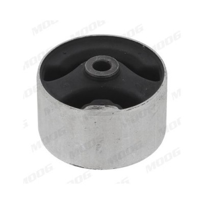 Moog suport, ax foto