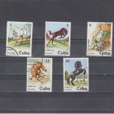 M2 TS3 5 - Timbre foarte vechi - Cuba - rase de cai