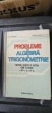 PROBLEME DE ALGEBRA SI TRIGONOMETRIE CLASELE A IX - A si a X-A LIVIU PARSAN , CRISTINA GEORGETA LAZANU , FACLA .STARE FOARTE BUNA