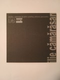 Dorel Topan - Ilie Cămărășan 1940-1998: microalbum de artă