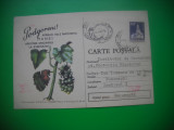 HOPCT 448 X PODGORENI-MANA VITEI DE VIE-1977 -BULETIN DE AVERTIZARE-CIRCULATA