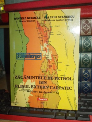 PANDELE NECULAE - ZACAMINTELE DE PETROL DIN FLISUL EXTERN CARPATIC , 2001 foto