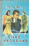 Caine vagabond - Petre Bellu