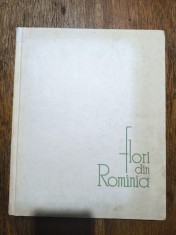 Flori din Romania - Mircea Bichiceanu / R5P1S foto