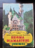 Enigma diamantului - Ștefan Dumitrescu, Ioan Dumitrescu