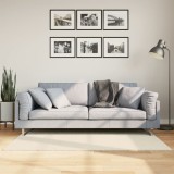vidaXL Covor ISTAN, cu fire &icirc;nalte, aspect lucios, crem, 80x150 cm