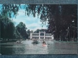 621 - Cluj-Napoca - vedere din parc / Chios/ circulata RPR color /carte postala, Fotografie