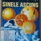(C507) MAYA PILKINGTON &amp; THE DIAGRAM GROUP - SINELE ASCUNSE