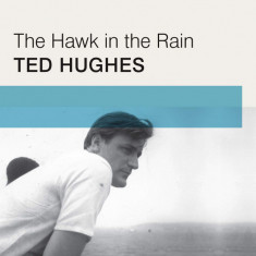 The Hawk in the Rain | Ted Hughes