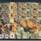 Aitutaki 2014- Fauna,WWF,Crustacee,Crabi,coli suvenir 4 serii,MNH,Mi.923-926KB