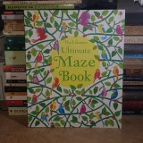 THE USBORNE : ULTIMATE MAZE BOOK / CARTE LABIRINTURI , ENGLAND , 2015 *