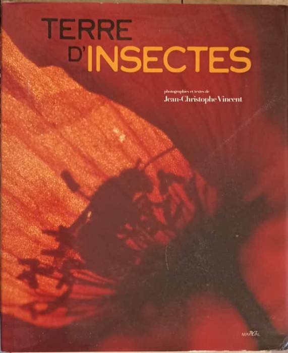 TERRE D&#039;INSECTES-JEAN-CHRISTOPHE VINCENT-241644