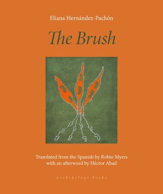 The Brush: Poems foto