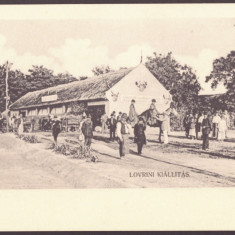 5033 - LOVRIN, Timis, Market, Litho, Romania - old postcard - unused