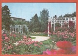 AS - C.P. TIMIȘOARA, PARCUL TRANDAFIRILOR, CIRCULATĂ (STAREA CARE SE VEDE)