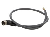 Conector M23 mamă cu 19 pini, IP67, 8A, 125V - LUMBERG AUTOMATION